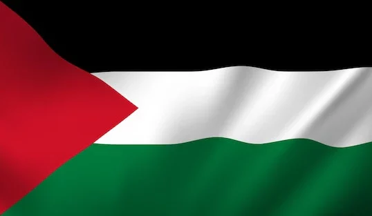 Crise humanitaire à Gaza : protection des civils, libération des otages immédiate et sans condition et reconnaissance de l’État de Palestine